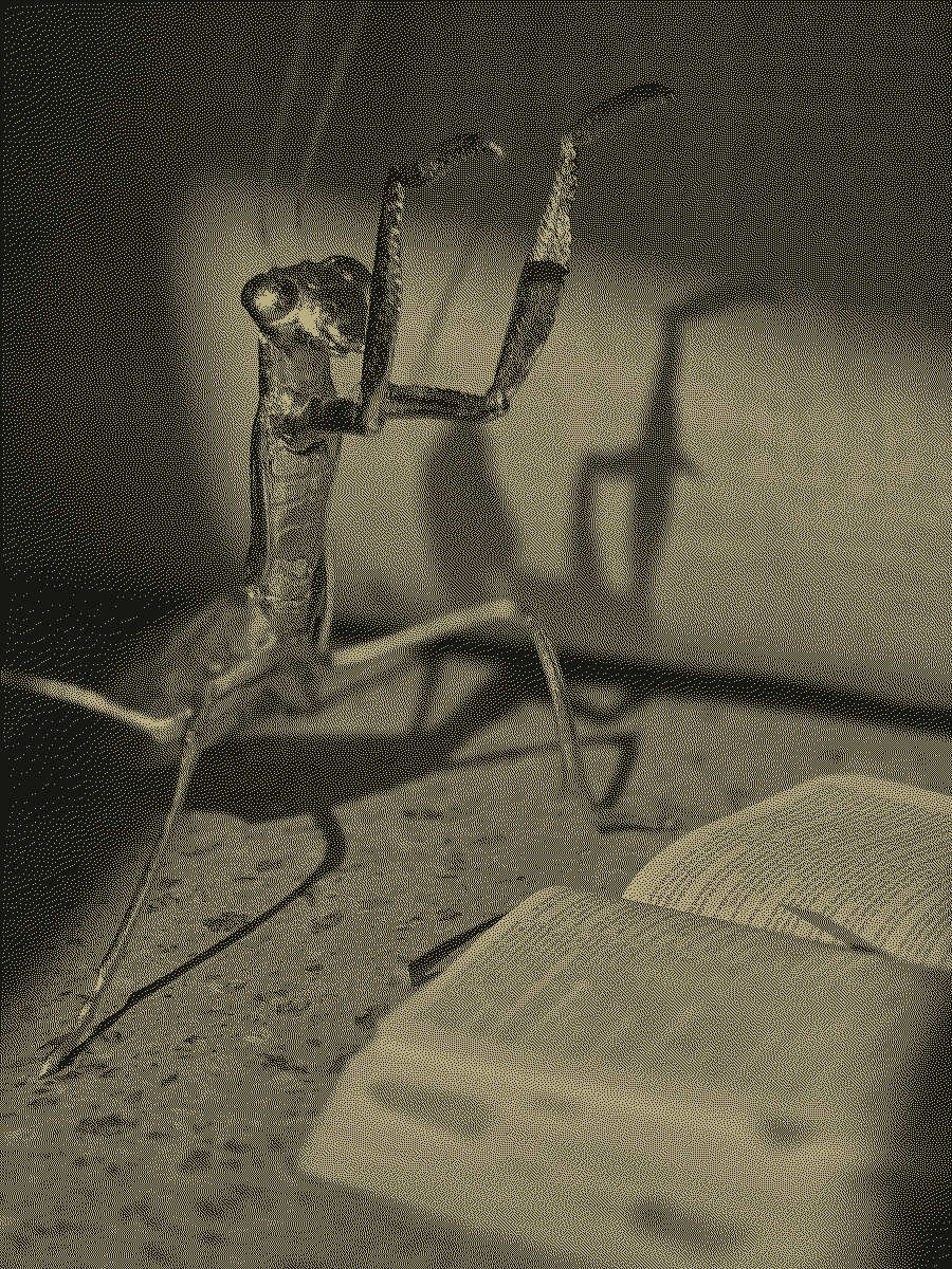 A praying mantis beside an open Bible, casting a large shadow behind it.